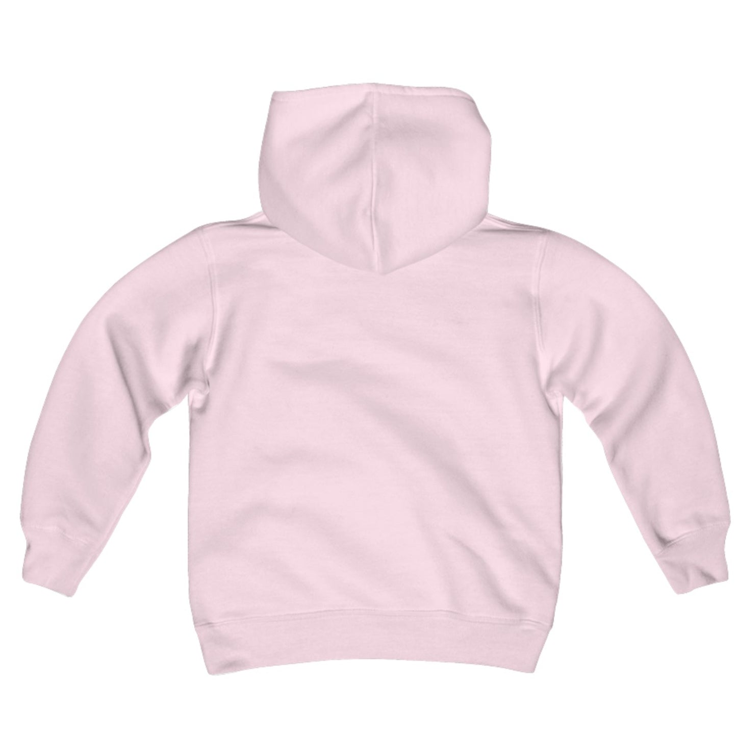 Nobody Puts Baby In The Corner Youth Hoodie